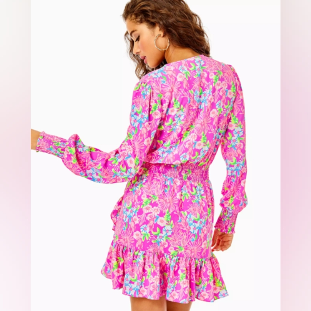 NWT Lilly Pulitzer Cristiana Stretch Dress - Picture 2 of 3